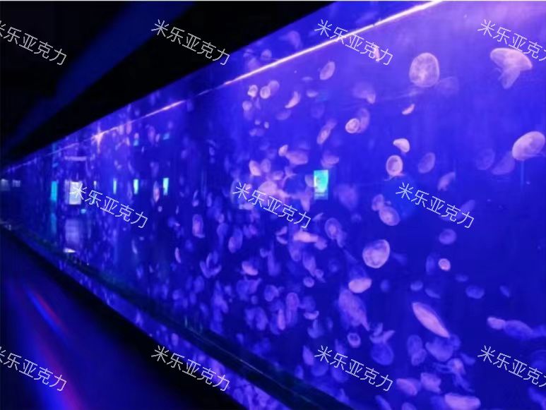 廈門(mén)水族館水母