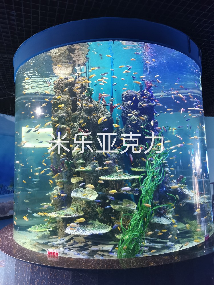 <b>大型亞克力魚缸造景必知小常識</b>